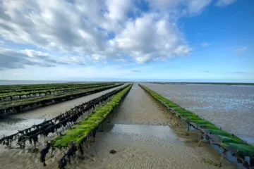 Gastroturistika Normandie Bretan